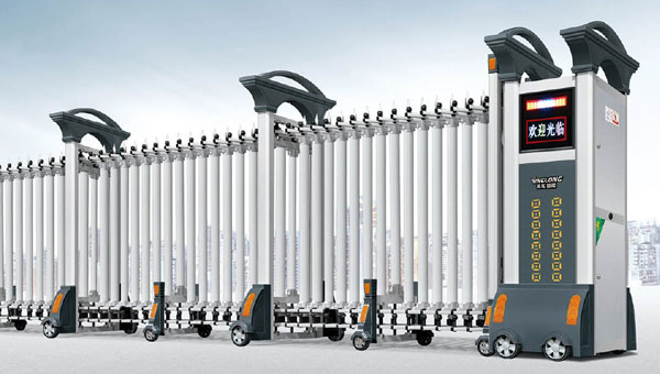 欧罗宝盾-221503-C2