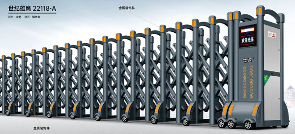 世纪雄鹰-22118-A