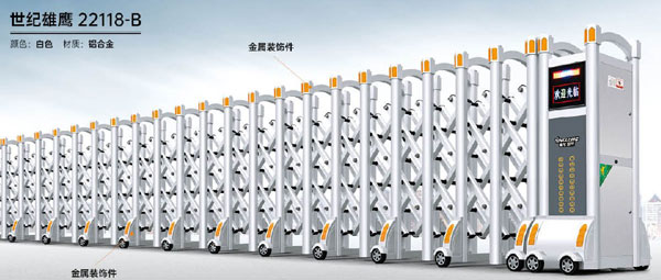 世纪雄鹰22118-B
